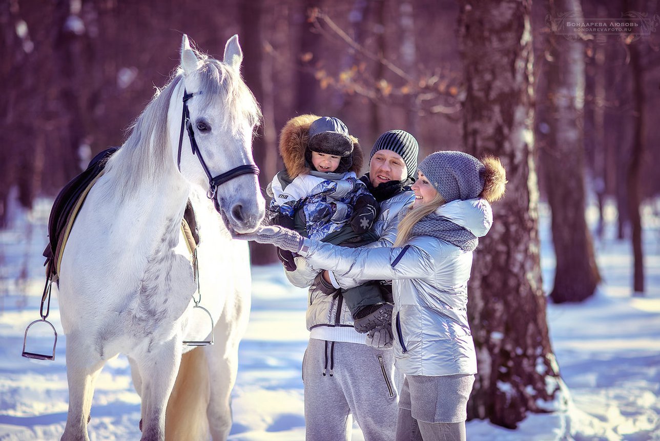 Лучшие места для верховой прогулки на лошади в Екатеринбурге