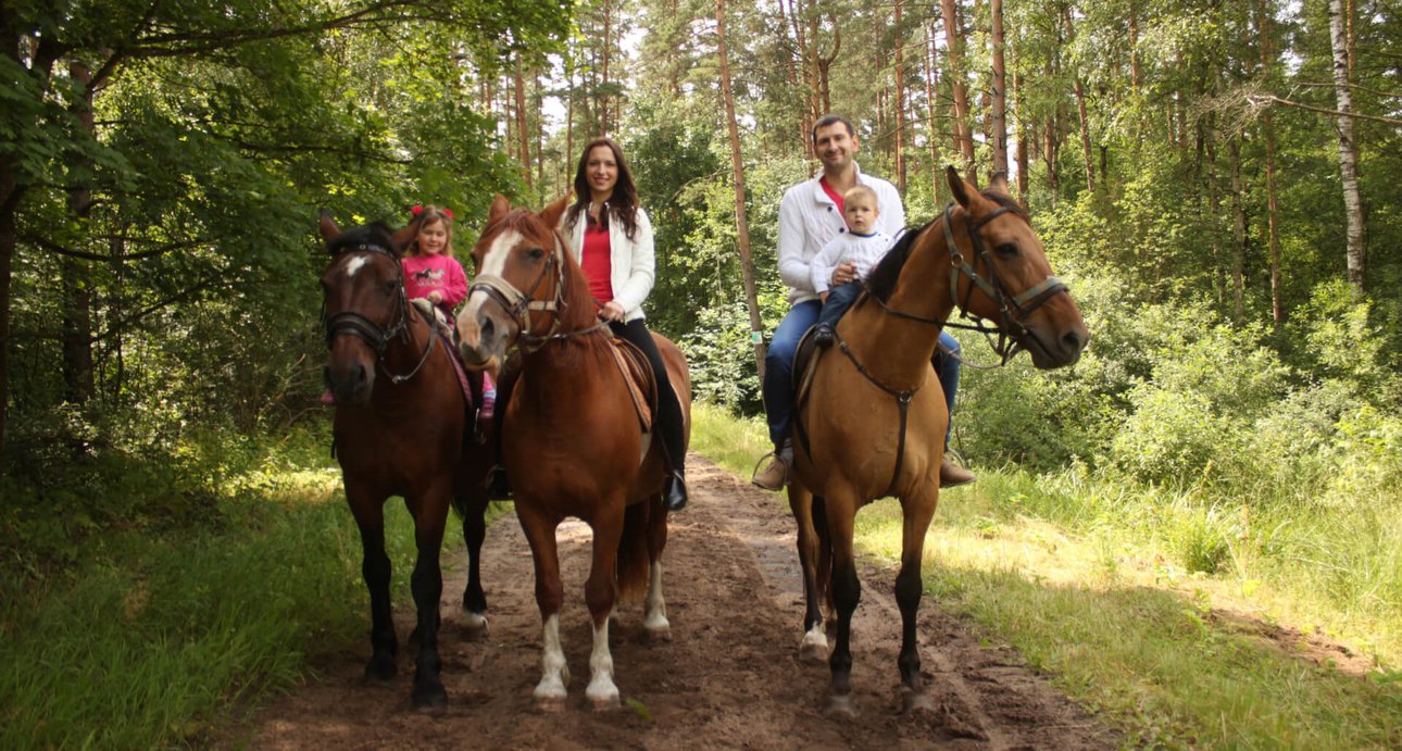 Прогулка на лошадях как способ укрепления здоровья и духа